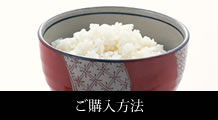 泉ヶ岳米　いずみ　低農薬米ささにしき・ひとめぼれ　ご購入